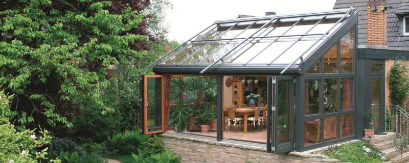 Зимний сад в вашем доме!